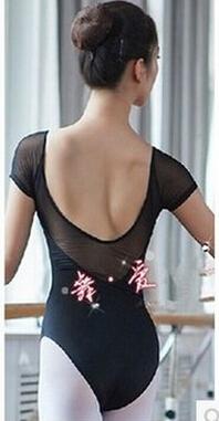 Vibrant-ish Mesh Leotard