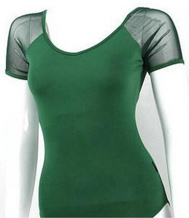 Vibrant-ish Mesh Leotard