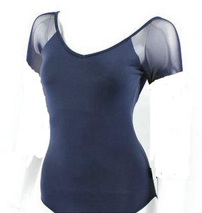 Vibrant-ish Mesh Leotard